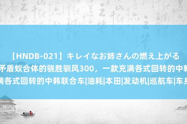 【HNDB-021】キレイなお姉さんの燃え上がる本物中出し交尾4時間 矛盾蚁合体的骁胜驯风300，一款充满各式回转的中韩联合车|油耗|本田|发动机|巡航车|车身尺寸方面