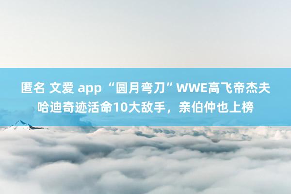 匿名 文爱 app “圆月弯刀”WWE高飞帝杰夫哈迪奇迹活命10大敌手，亲伯仲也上榜