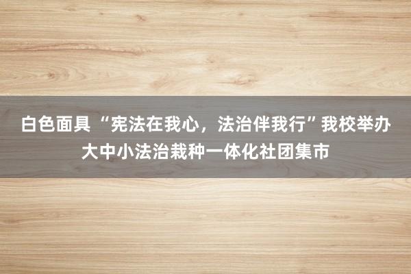 白色面具 “宪法在我心，法治伴我行”我校举办大中小法治栽种一体化社团集市